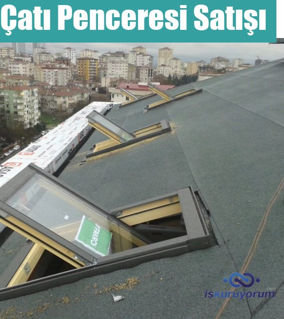 çatı pencresi bayilik